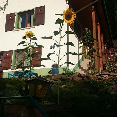Apartamento La Casita Linda Eberbach  Exterior foto
